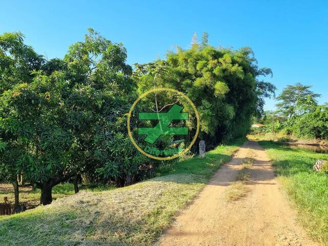 #1 - Sítio para Venda em Monte Santo de Minas - MG - 3