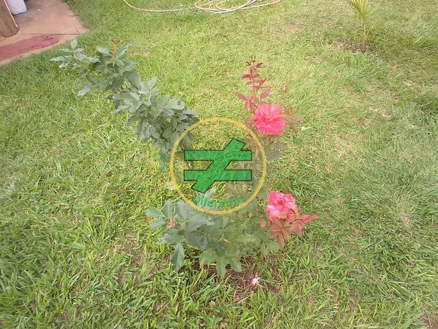 #2 - Sítio para Venda em Monte Santo de Minas - MG - 2