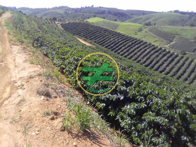 #7 - Fazenda para Venda em Monte Santo de Minas - MG - 1