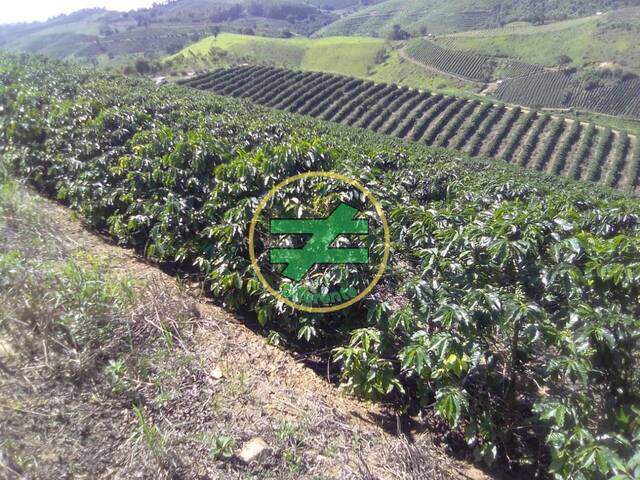 #7 - Fazenda para Venda em Monte Santo de Minas - MG - 2