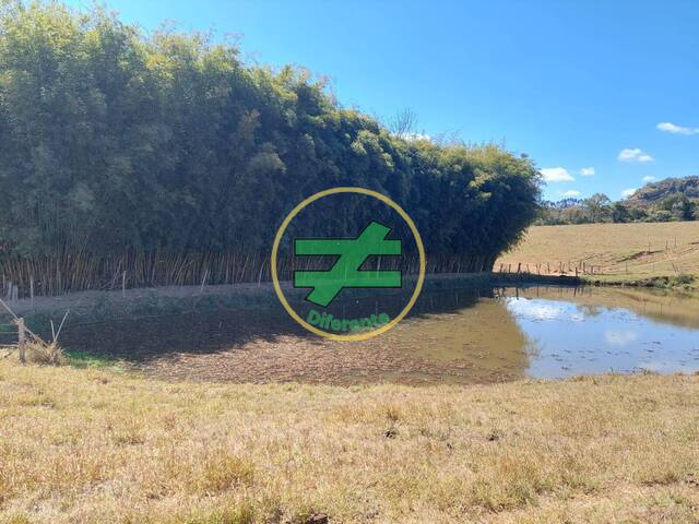 #11 - Sítio para Venda em Monte Santo de Minas - MG - 1