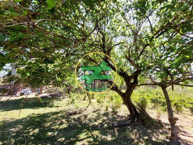 #11 - Sítio para Venda em Monte Santo de Minas - MG - 3