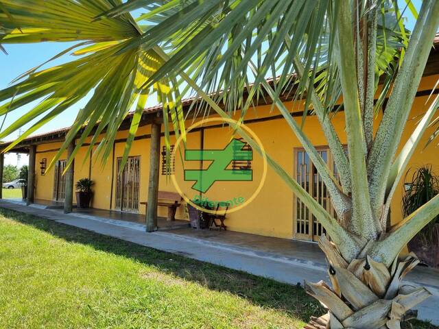 #13 - Sítio para Venda em Monte Santo de Minas - MG - 3