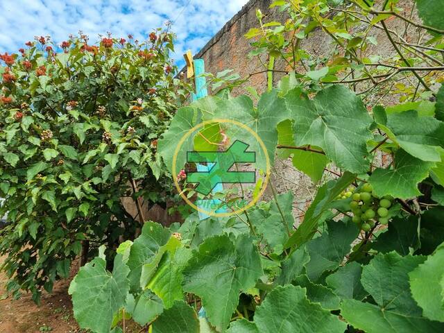 #20 - Chácara para Venda em Monte Santo de Minas - MG - 3