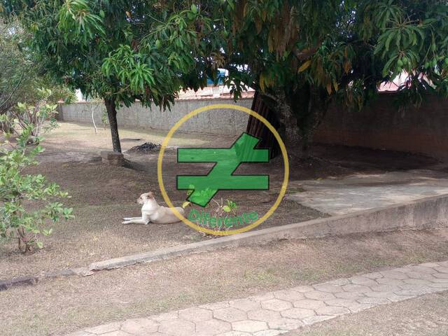 #21 - Chácara para Venda em Monte Santo de Minas - MG - 3