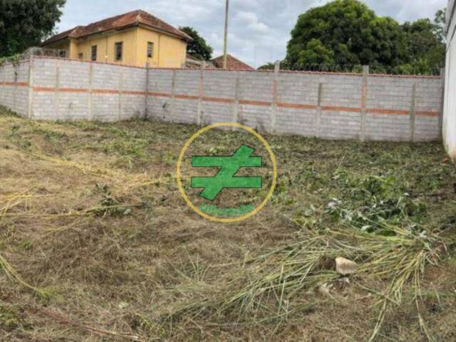 #28 - Terreno para Venda em Monte Santo de Minas - MG - 3