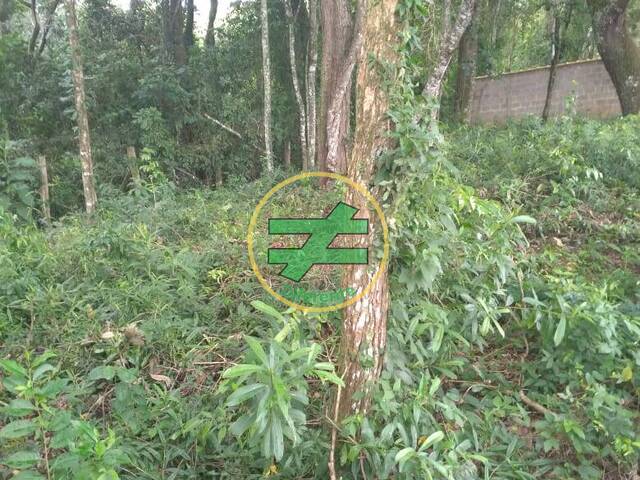 #30 - Área para Venda em Monte Santo de Minas - MG - 2